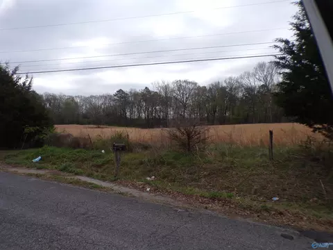 4 4 County Road 369, Trinity, AL 35673 photo 3