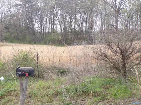 4 4 County Road 369, Trinity, AL 35673