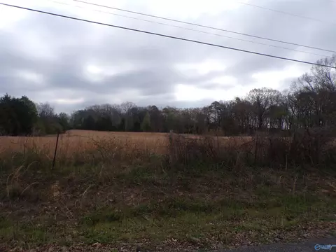 4 4 County Road 369, Trinity, AL 35673 photo 5