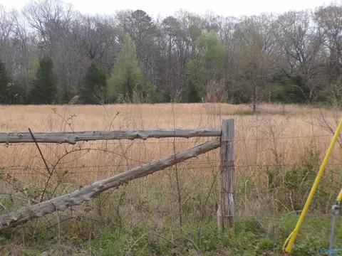 4 4 County Road 369, Trinity, AL 35673 photo 2