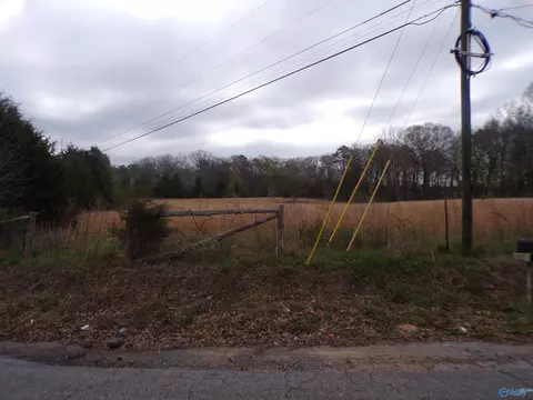 4 4 County Road 369, Trinity, AL 35673 photo 4