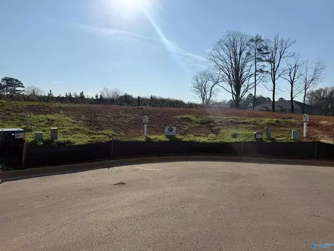105 Ayers Spring Rd, New Market, AL 35761