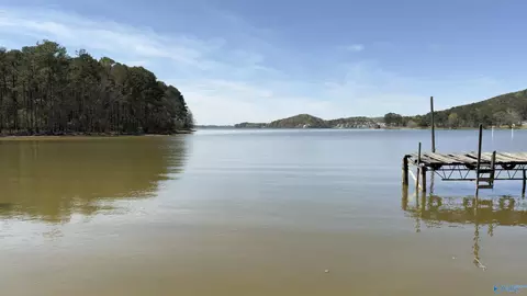 42 County Road 600, Cedar Bluff, AL 35959