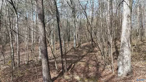 002 Toney Dr, Altoona, AL 35952