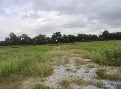 23678 Old Homeplace Way, Athens, AL 35613