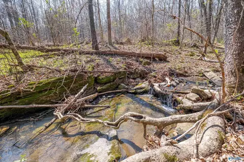 163 Acres Duck Springs Rd, Attalla, AL 35954
