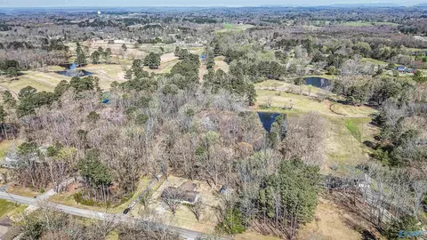 445 Golfview Dr, Arab, AL 35016 photo 39