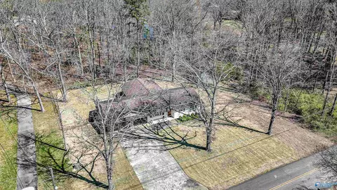 445 Golfview Dr, Arab, AL 35016 photo 37