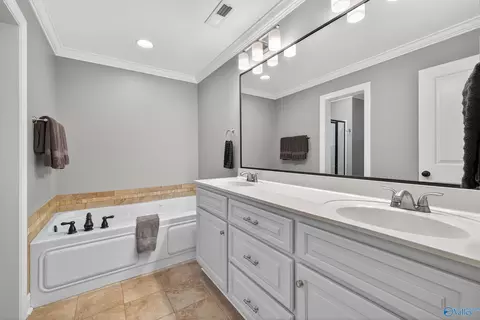 Bath - 24 Mountain Cove Dr, Trinity, AL 35673 photo 2 of 2