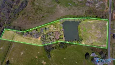 10 17 Acres Burgreen Rd, Madison, AL 35756