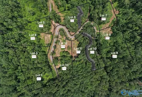 lot3 Wyeth Dr, Guntersville, AL 35976