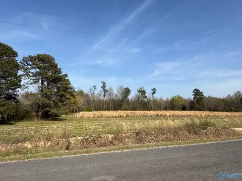 lot8 County Road 318, Dawson, AL 35963