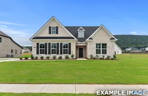 7519 Speckle Belly Blvd, Owens Cross Roads, AL 35763