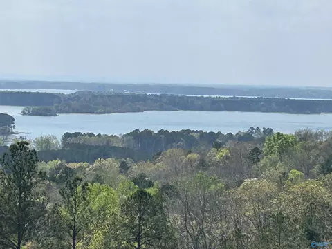 lot41 County Road 767, Cedar Bluff, AL 35959