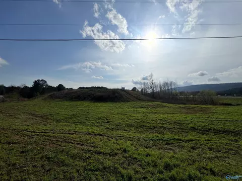 5 88 Acres Us Hwy 411, Leesburg, AL 35983