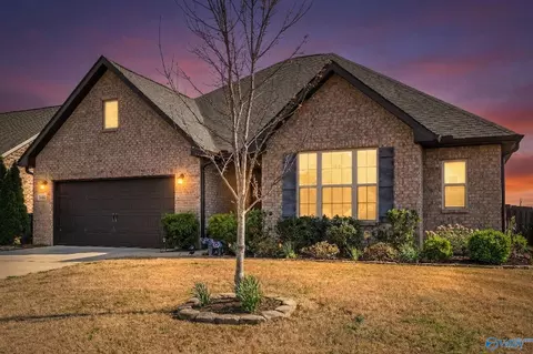146 Willow Bank Cir, Decatur, AL 35603