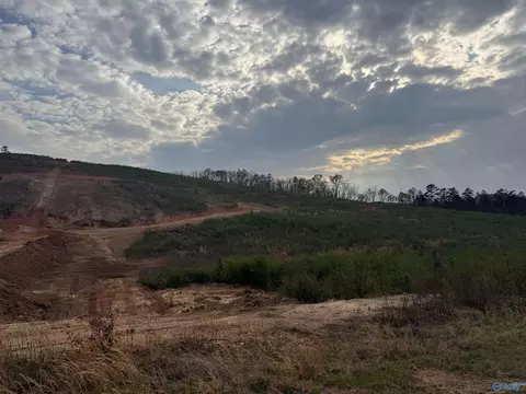 18 Acres County Road 6, Piedmont, AL 36272