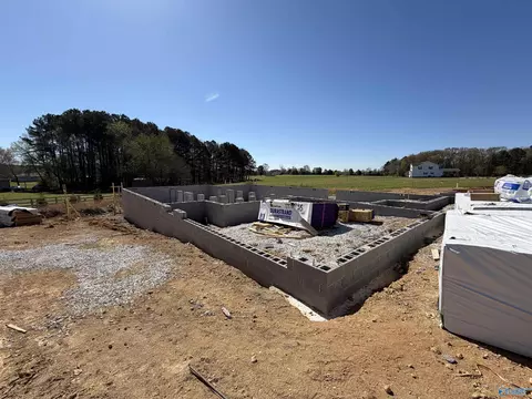 23346 Leroy Ln, Athens, AL 35613