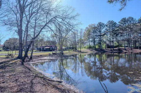 11243 County Road 87, Moulton, AL 35650