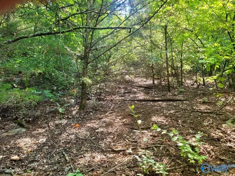 7609 Foxfire Dr, Huntsville, AL 35802