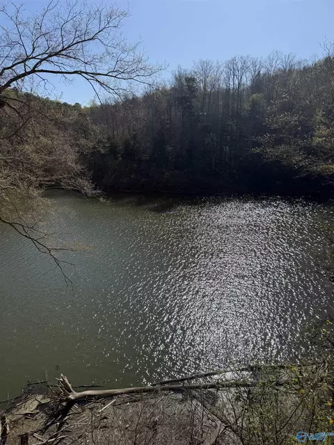 lot11 County Road 3782, Arley, AL 35541
