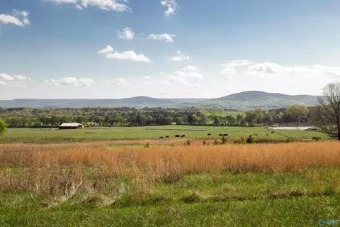 16 6 Acres Dug Hill Rd, Brownsboro, AL 35741