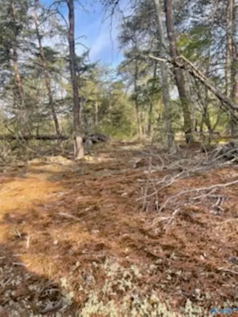 3 23 - Acres County Road 52, Cedar Bluff, AL 35983 photo 24