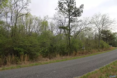 3 23 - Acres County Road 52, Cedar Bluff, AL 35983 photo 22