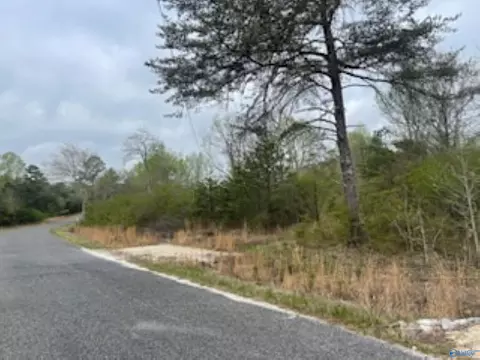 3 23 - Acres County Road 52, Cedar Bluff, AL 35983 photo 8
