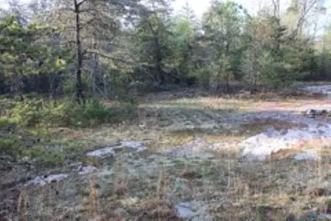 3 23 - Acres County Road 52, Cedar Bluff, AL 35983 photo 11