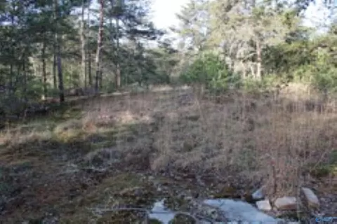 3 23 - Acres County Road 52, Cedar Bluff, AL 35983 photo 12