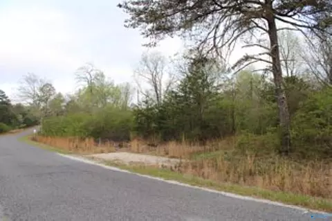3 23 - Acres County Road 52, Cedar Bluff, AL 35983 photo 25