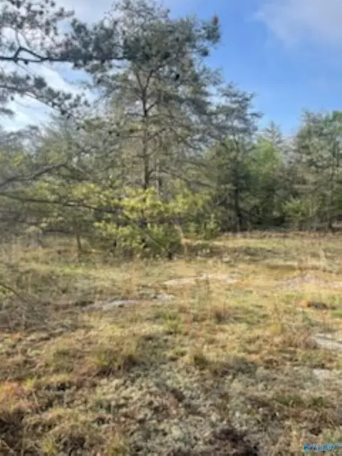 3 23 - Acres County Road 52, Cedar Bluff, AL 35983 photo 23