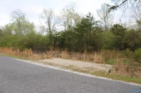 3 23 - Acres County Road 52, Cedar Bluff, AL 35983 photo 26