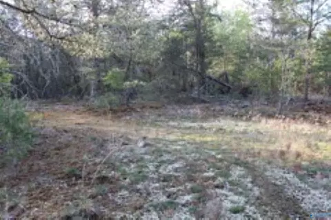3 23 - Acres County Road 52, Cedar Bluff, AL 35983 photo 10