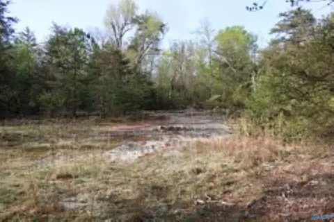 3 23 - Acres County Road 52, Cedar Bluff, AL 35983 photo 20