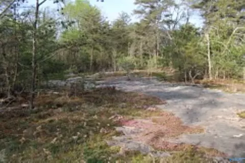 3 23 - Acres County Road 52, Cedar Bluff, AL 35983 photo 18