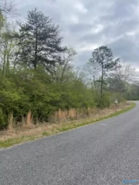 3 23 - Acres County Road 52, Cedar Bluff, AL 35983 photo 9