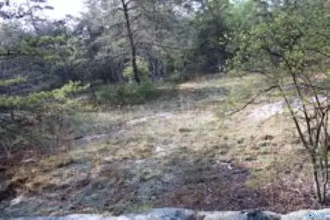 3 23 - Acres County Road 52, Cedar Bluff, AL 35983 photo 16