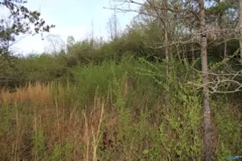 3 23 - Acres County Road 52, Cedar Bluff, AL 35983
