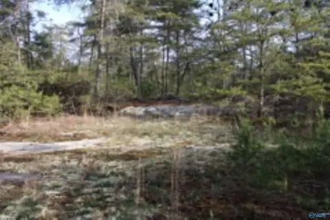 3 23 - Acres County Road 52, Cedar Bluff, AL 35983 photo 17