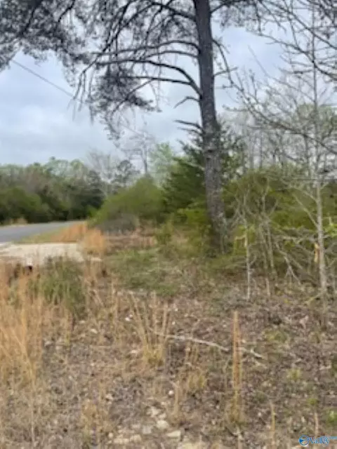 3 23 - Acres County Road 52, Cedar Bluff, AL 35983 photo 7