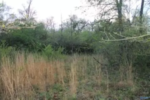 3 23 - Acres County Road 52, Cedar Bluff, AL 35983 photo 5