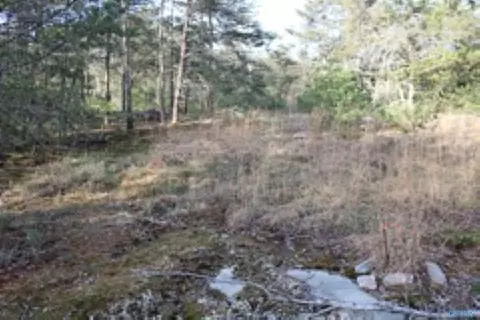 3 23 - Acres County Road 52, Cedar Bluff, AL 35983 photo 14