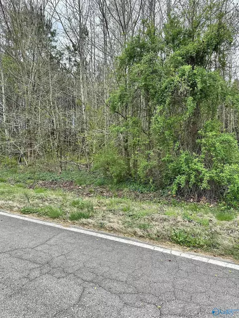 lot5 Salem Minor Hill Rd, Lester, AL 35647