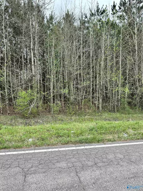 lot10 W Limestone School Rd, Lester, AL 35647