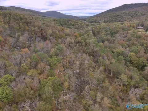 930 Dug Hill Rd, Brownsboro, AL 35741
