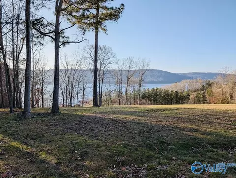 960 Monte Sano Dr, Scottsboro, AL 35769