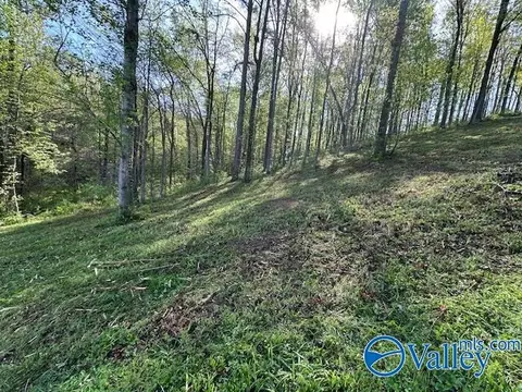 lot28 Hualapai Ln, Guntersville, AL 35976