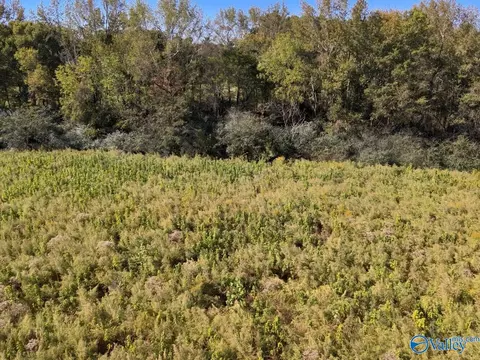 20 Acres Murphee Rd, Eva, AL 35621